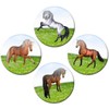 Fridge Magnets Horses Gift Set of 4 Horse Motif Magnets