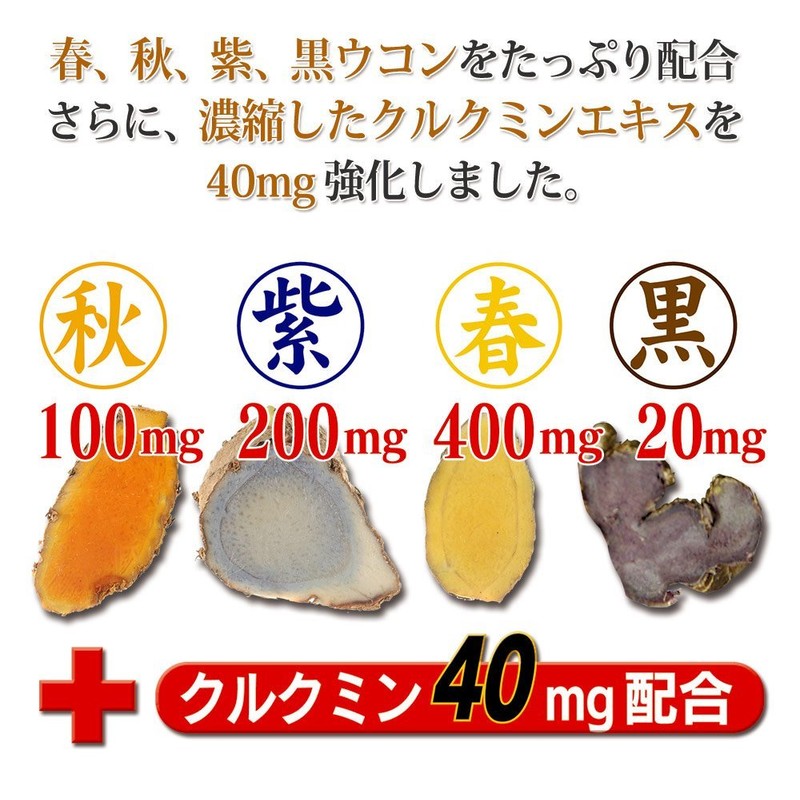 大日ヘルシーフーズ 肝源ウコン 45粒入×1袋 春ウコン 秋ウコン 紫ウコン 黒ウコン 配合 錠剤タイプ サプリ