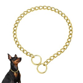 Gold Chain Choke Collar for Dogs, Metal Slip P Link Training Heavy Duty Dog Choker Collar Martingale Collars Puppy Chain for XXS XS Small Medium Large Breed Dogs XS