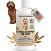 We Love Doodles- Champú de Avena Premium 5 en 1