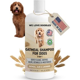 We Love Doodles- Champú de Avena Premium 5 en 1 para Perros, Suave para Pieles sensibles y con picazón, Alivia la picazón