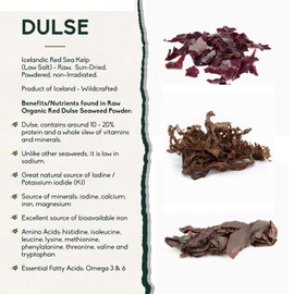 Wildcrafted Icelandic Dulse Flakes by Holistic Bin - Finest Culinary Grade Nordic Sea Vegetable Superfood