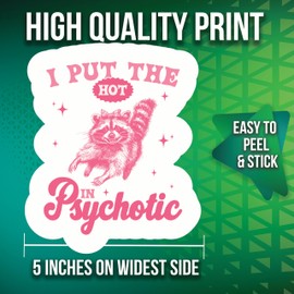 I Put The Hot in Psychotic Stickers - 5" On Longest Side - Cute Pink Raccoon- Funny-Sarcastic - 2 Pack - High Adhesive Tack - Bumper Stickers for Cars, Truck, SUV - Made in USA - PLDFS0131