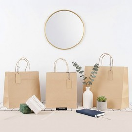 Bless Pack Kraft Twist Handle Shopping Bags (100 Count) (3 Types) 260x150x260 (Medium)