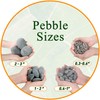 45 LB Mexican Beach Pebbles - 1-2 Inch Decorative River