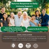 N' MORE Six Active Mushroom Defense Dietary Supplement Supports Immune