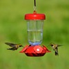 Perky-Pet 135TF “Perky’s Finest” 16 oz Plastic Top Fill Hummingbird