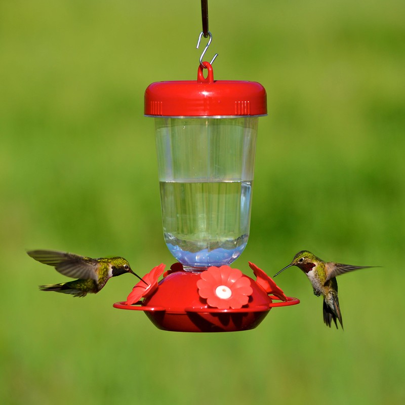 Perky-Pet 135TF “Perky’s Finest” 16 oz Plastic Top Fill Hummingbird