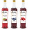 Amoretti - Berry Syrups 3 Pack