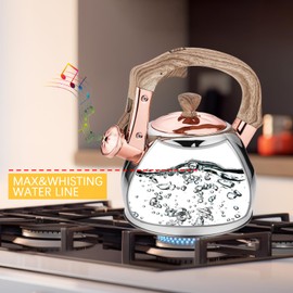 Stainless Steel Tea Kettle for Stove Top Teakettles Stovetop Whistling with Heat Proof Ergonomic Handle 2.5 Quart