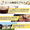 ワンちゃんの腸活＆免疫ケア！マリウェル【海藻・納豆・乳酸菌・ビール酵母配合】正規品｜皮膚・毛並み・高齢犬サポート【犬用サプリ】Mariwell 腸内フローラを整え便秘にも アスコフィラムノドサム