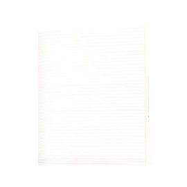 STARK SKIF-0170011 Filter, Innenraumluft Staubfilter, Pollenfilter, Mikrofilter