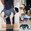 Dog Lift Harness for Senior & Injured Dogs – Full