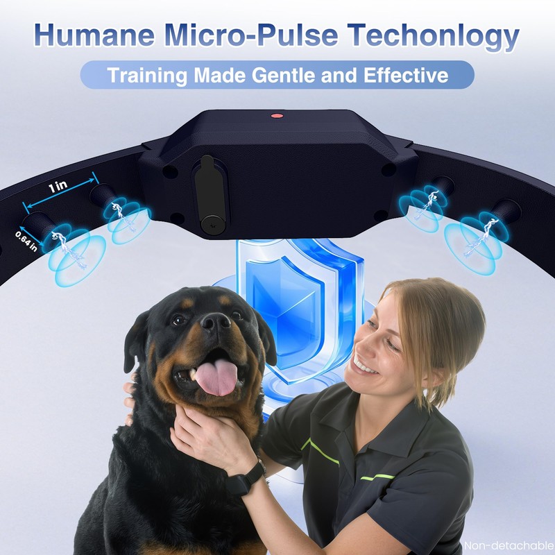 PATPET Dog Training Collar with Remote, 4200Ft E-Collar with LED