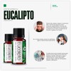 VIDA SCENTS OLEOS Aceite Esencial de Eucalipto 10 ML 100%