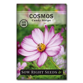 Sow Right Seeds - Candystripe Cosmos Flower Seeds for Planting, Beautiful Flowers to Plant in Your Garden; Non-GMO Heirloom Seeds; Wonderful Gardening Gifts (1 Packet)