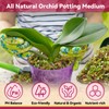 Riare 1QT Orchid Potting Mix for Repotting- Orchid Repotting Kit