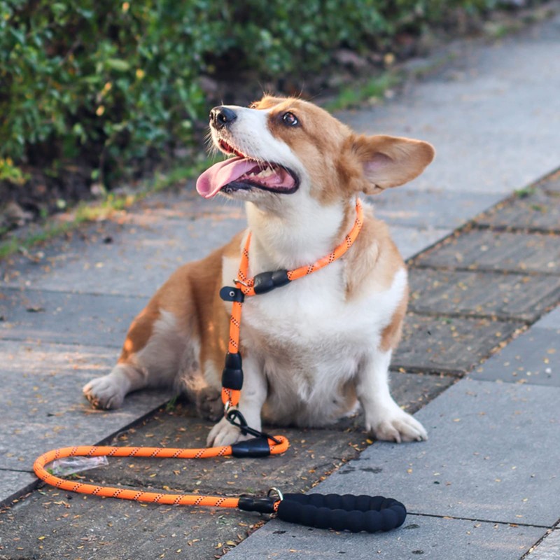 LOS ANDES Dog Slip Collar with Slidable Stopper, No Pull