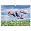 Donaudelta - Europas großes Vogelparadies (Wandkalender 2026 DIN A3 quer),