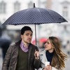 Beavorty Umbrella Rubber Tips Umbrella Tip Covers 2pcs Rubber End