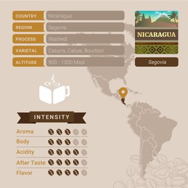 Nicaraguan Coffee, Ground Coffee, Premium Nicaragua Segovia Single Origin Fresh Roasted Ground Coffee | Cubico Coffee | 12 Ounce Bag