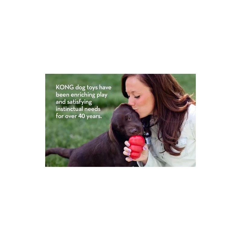 Kong Cozie Mediano Juguete Lagarto Para Perro Color Verde