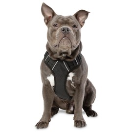 TOTTO - Heikul Dog Harness, Size M, Small Dog Harness, Adjustable, Reflective Details, Loop for Leash and Handle, Easy to Install, Lightweight, Black