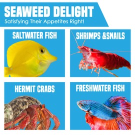 JOR 20 Seaweed Sheets for Tangs, Angels, Plecos, Shrimp, Snails, Nutrient- & Vitamin-Rich, Dried Snack for Bottom Feeders, Increased Palatability for Grazing Fish, 1 oz. Pet Feed