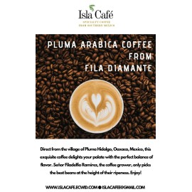 Isla Cafe LIMITED – Pluma Arabica Coffee | Oaxaca, Mexico | Small Batch Roast - 10 ounces, whole bean