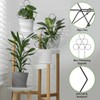 Blulu Plant Trellis for Climbing Plants Indoor 3 Pack Stackable