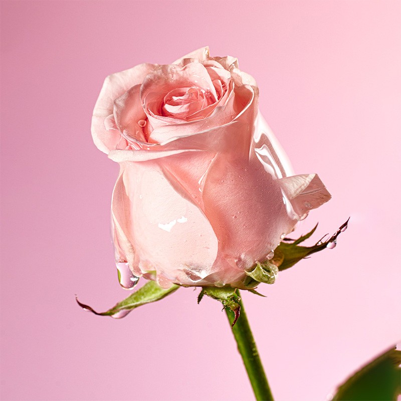 Mamonde [마몽드]플로라 글로우 로즈 스무딩 크림 [Mamonde] Flora Glow Rose