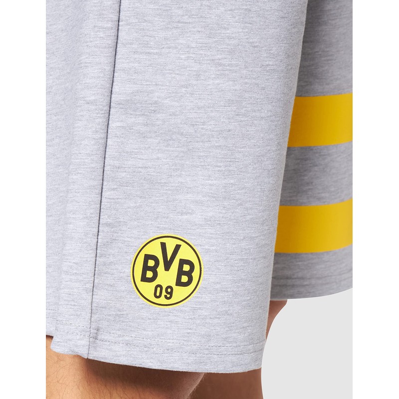 Borussia Dortmund BVB Shorts Grey, gray, 3 XL