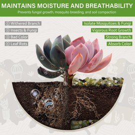 NUPICK 3 lbs Pebbles for Indoor Plants, 1/5 Inch Pea Gravel for Fish Tank, Polished Decorative Rocks for Succulent, Natural River Stones for Vases, Cactus, Landscaping, Bird Bath, Aquarium, Jade