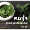 Oleum Vitae Aceite Esencial De Menta 100% Puro 15ml. Oleum