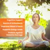 New! Lions Mane Supplement Capsules - 12,000mg 10x Concentrated High