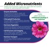 Jack's Classic 20-6-22 Petunia Feed Water-Soluble Fertilizer with Micronutrients to