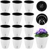Planterhoma 5 Inch Self Watering Pots for Indoor Plants, 12