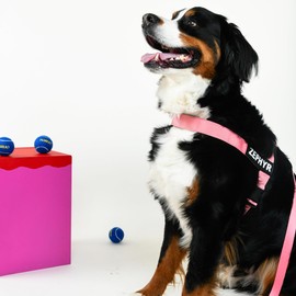Marlio Adjustable Dog Harness - Stop Pulling, No Choke, Ensure Comfort, and Style with Easy-On, Unique Prints and Matching Leashes Available - Medium, Solid Pink