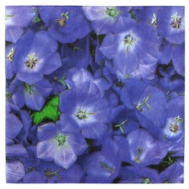Iconikal 75-Count Disposable Paper Party Napkins Violets 6.5x6.5-Inch 2-Ply Purple Flower Design Birthday Garden Party Decor Bulk Pack