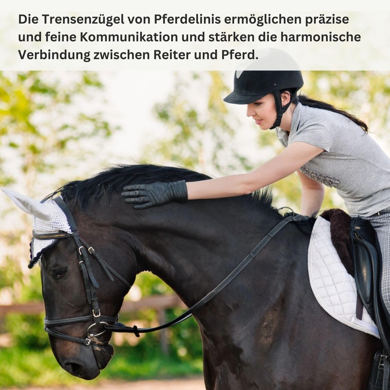 Pferdelinis Bridle Reins for Horses, Rubberised, Durable Reins in Black