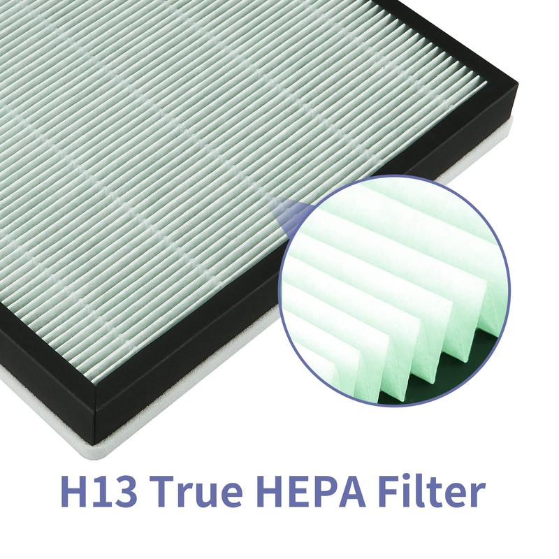 Popurure SPA-550A Filter Replacement Compatible With Rabbit Air BioGS 2.0