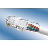 Triplett CAT6-HPP High Performance CAT5 Connector, Pack of 50