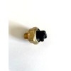 General Pump Pressure Washer 1/4" MPT General Pump Thermal Relief