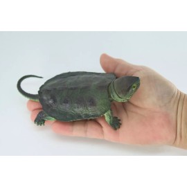 Collectible Wildlife Gifts Snapping Turtle Toy Hand Painted Hard Rubber Turtle Realistic Model 6" IM15 B657