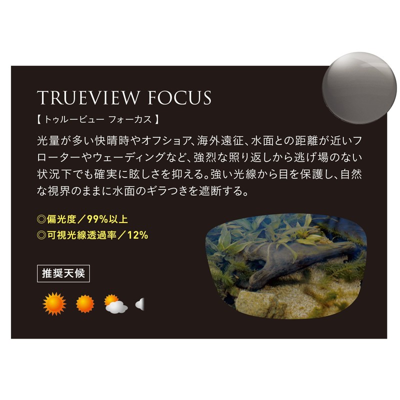 Zeque F-1961 Polarized Sunglasses HOVER F-1961 Matte Black TRUEVIEW FOCUS