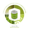 EURO TE- Té Verde Matcha Japonés Ceremonial - lata 30