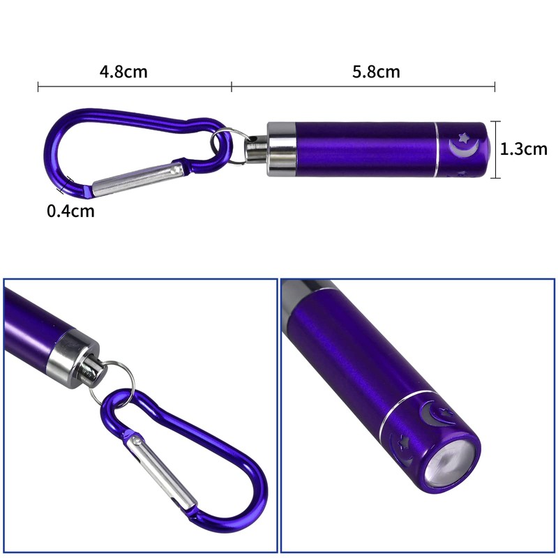GOLDGE 14 Pieces LED Keyring Torch Mini Torch for Outdoor