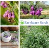 Earthcare Seeds True Comfrey 50 Seeds (Symphytum officinale) Non GMO,