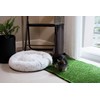 Paladin Small Smooth Cut Indoor Mat - Anti-Slip, Quick-Drying Synthetic