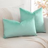 Artscope Velvet Cushion Cover Decorative Cushion Sofa Cushion Lumbar Cushion